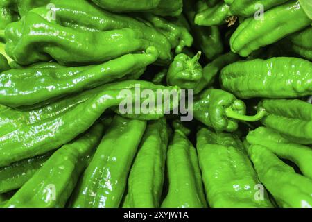 Pimientos verdes, Mercado s Olivar, Palma, Mallorca, Islas Baleares, Spanien, Europa Stockfoto