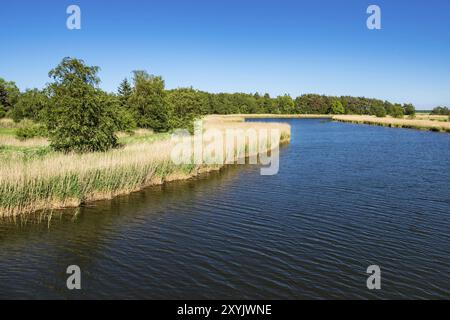 Blick auf den Prerow Stream in Prerow Stockfoto