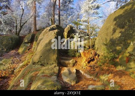 Wanderweg im Elbsandsteingebirge, Wanderweg im Elbsandsteingebirge im Herbst Stockfoto