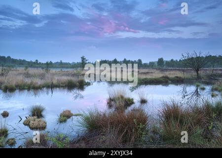 Wunderschöner Sonnenuntergang über Moor, Fochteloerveen, Drenthe, Friesland, Niederlande Stockfoto