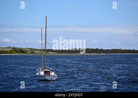 Segelboote auf der Dornoch Firth Stockfoto