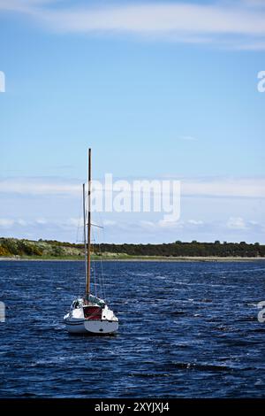 Segelboote auf der Dornoch Firth Stockfoto