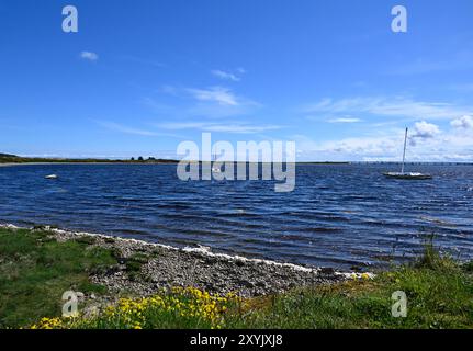 Segelboote auf der Dornoch Firth Stockfoto