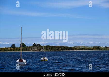 Segelboote auf der Dornoch Firth Stockfoto