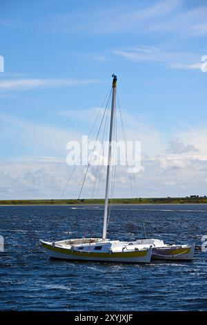 Segelboote auf der Dornoch Firth Stockfoto