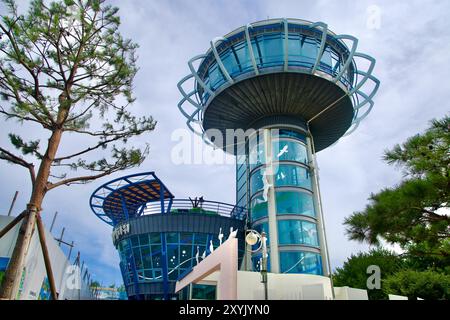 Goseong County, Südkorea - 28. Juli 2024: Ein Blick nach oben auf den Songjiho Migratory Bird Network Tower mit modernem Design und Vogelmotiv Stockfoto