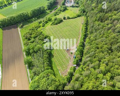 Luftaufnahme eines erbauten Solarparks in grüner Umgebung, umgeben von Feldern und dichten Wäldern, Bau des SchwarzwaldNatur-Solarparks Stockfoto