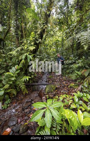 Junger Mann an einem kleinen Bach, Tourist auf einem schmalen Wanderweg im tropischen Regenwald, Laguna de Hule, Refugio Nacional de Vida Silvestre Mixto Bos Stockfoto