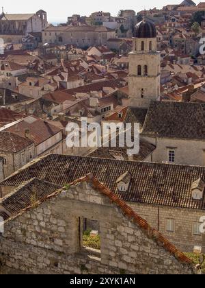 Blick auf die historische Stadt mit Glockenturm und zahlreichen roten Ziegeldächern, dubrovnik, Mittelmeer, Kroatien, Europa Stockfoto