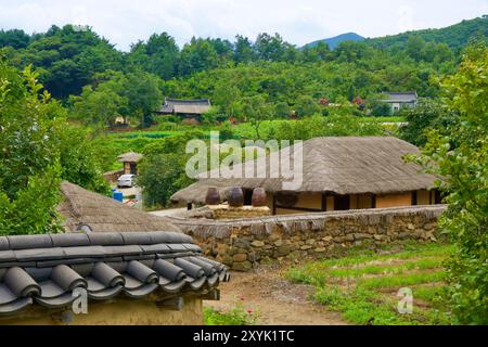 Goseong County, Südkorea - 28. Juli 2024: Ein Blick auf traditionelle strohgedeckte Häuser im Dorf Wanggok Hanok, umgeben von üppiger Vegetation und Stockfoto