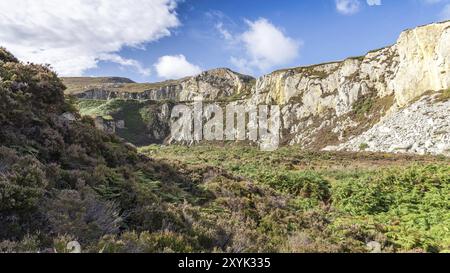 Landschaft zwischen Holyhead Wellenbrecher Country Park und North Stack, Isle of Anglesey, Wales, Großbritannien Stockfoto