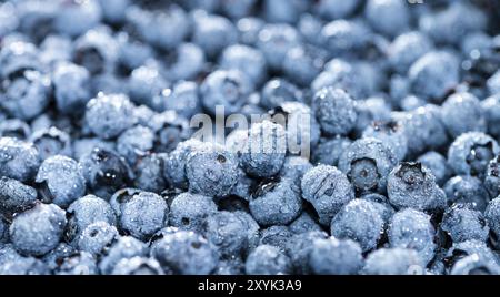 Frische geerntete Heidelbeeren für als Hintergrundbild verwenden Stockfoto