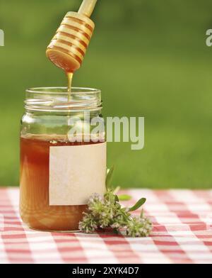 Glas Honig mit Mutter von Thymian Natur Hintergrund Stockfoto