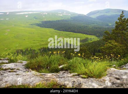 Berglandschaft. Blick auf das Tal. Kaukasus Natur. Lago-Naki, Rußland, Europa Stockfoto