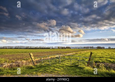 Zäune auf wunderschönem holländischem Ackerland vor Sonnenuntergang, Groningen, Niederlande Stockfoto