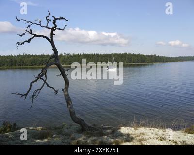 Sloeingen Bay im Vaenersee ist ein fantastischer Ankerplatz. Liegeplatz im See Vaenern, sewden Stockfoto