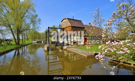 Radduscher Buschmuehle im Spreewald im Frühjahr, Raddusch Mühle, Spreewald im Frühjahr, Brandenburg Stockfoto