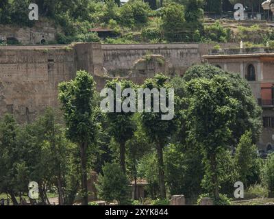 Grüne Vegetation mit hohen Bäumen und alten Mauern im Hintergrund an einem sonnigen Tag, Rom, Italien, Europa Stockfoto