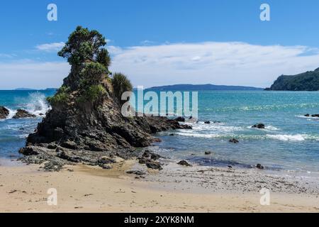 Kūaotunu Beach, Coromandel Peninsula, Waikato, Nordinsel, Neuseeland Stockfoto