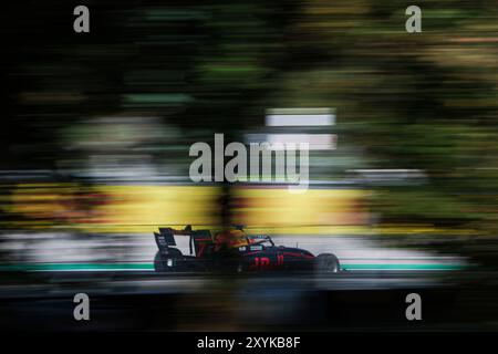 07 TRAMNITZ Tim (ger), MP Motorsport, Dallara F3 2019, Aktion während der 10. Runde der FIA Formel 3 Meisterschaft 2024 vom 30. August bis 1. September 2024 auf dem Autodromo Nazionale Monza, in Monza, Italien - Foto Eric Alonso / DPPI Stockfoto