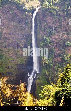 TAD FAN, die Wasserfälle in champasak, Süd-laos Stockfoto