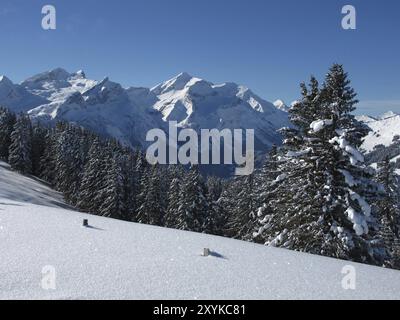 Wald und hohe Berge bei Gstaad, Winter Stockfoto