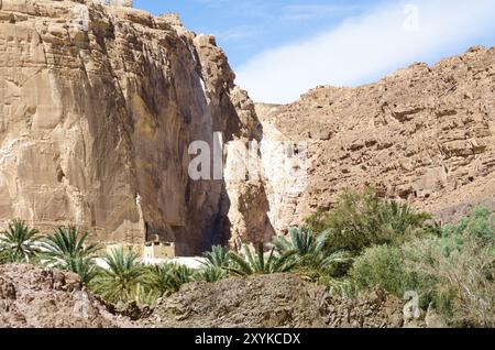 beduinen wohnen in einer Oase in der Wüste zwischen den Bergen in Ägypten Dahab Stockfoto