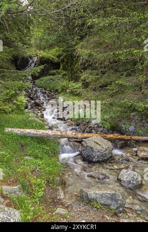 Kleiner Wasserfall auf dem Taser Höhenweg oberhalb der Schenna bei Meran, Südtirol Stockfoto