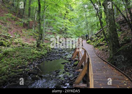 Soederasens Nationalpark in Skane, Schweden im Herbst Stockfoto