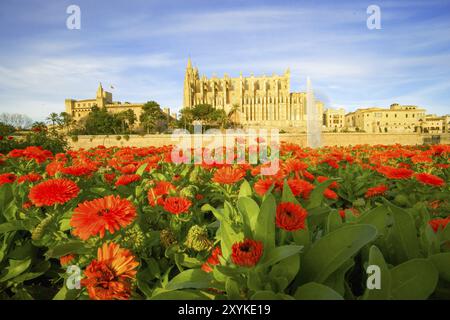 Catedral de Palma (La Seu) (s.. XIV-XVI) Parque del mar.Palma.Mallorca.Baleares.Espana Stockfoto