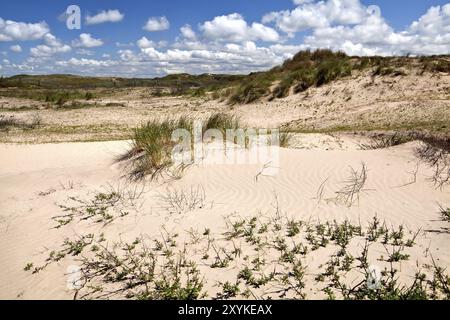 Sanddünen über dem Himmel in Zandvoort aan Zee, Niederlande Stockfoto