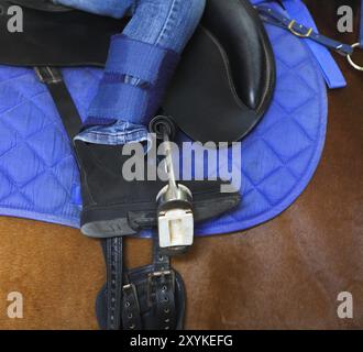 Reiten. kleines Mädchen reitet auf einem Pferd. Nahaufnahme Stockfoto