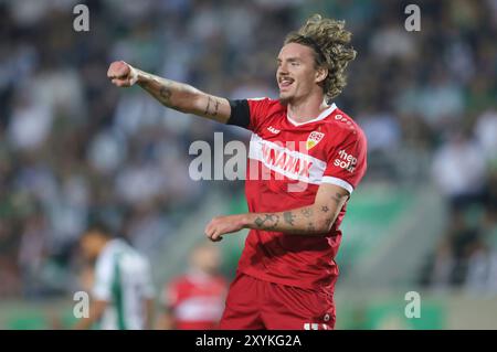 Münster, Deutschland. August 2024. firo: 27.08.2024, Fußball, DFB-Pokal, Pokal, Saison 2024/2025, 1. Runde, SCP Preussen Münster - VfB Stuttgart Nick Woltemade ins 4:0-Tor. Jubilation Credit: dpa/Alamy Live News Stockfoto