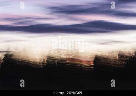 Abendstimmung im Wald, Wischeffekt, abstrakt, Norrbotten, Lappland, Schweden, August 2013, Europa Stockfoto