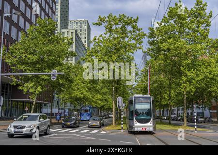 Städtische Begrünung, innerstädtische Straße Laan op Zuid, im Rotterdamer Stadtteil Feijenoord, 4 Fahrspuren, 2 Straßenbahnschienen, Radwege auf beiden Seiten, Gehsteige und p Stockfoto