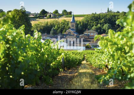 Saint Julien Dorf und Rod in Beaujolais Land, Frankreich, Europa Stockfoto