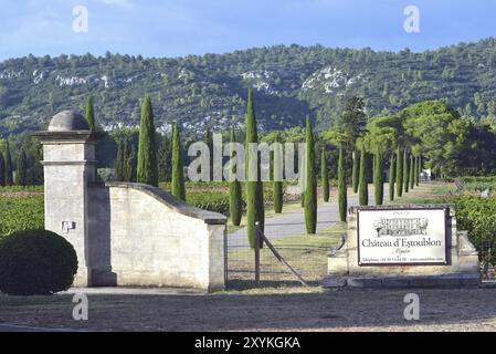 Eingangstor zum Chateau d' Estoublon, Weinberg, Pfad und Zypressen Stockfoto