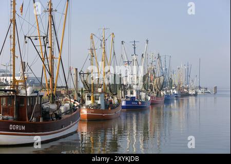 Mehrere Fischschneider im Hafen Dorum, Neufeld. Ein paar Fischschneider im Hafen Stockfoto