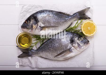 Frische rohe Dorade Fisch mit Zitronenscheiben, Salz, Rosmarin und Olivenöl auf weiße Holztisch. Gesunde Ernährung Konzept, Ansicht von oben, kopieren Raum Stockfoto