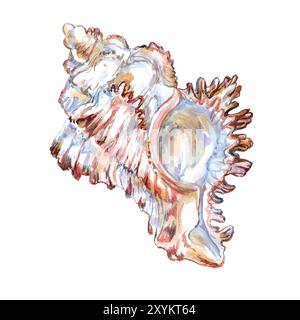 Muschelisolat der Unterwasserwelt in handgefertigten Aquarellen. Murex Endivia. Chicoreus chicoreum Meeresschale mit volumetrischer, geriffelter, gehörnter Form. Die Stockfoto