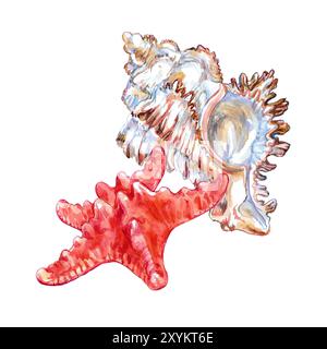 Muschel der Oberfläche und Kreatur Unterwasserwelt in Aquarell. Seesterne, Asterias Rubens, Seestern, Seestern oder Sugar Starfis und Murex Stockfoto