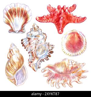 Muscheln und Meeresbewohner setzen die Unterwasserwelt in handgezeichnetem Aquarell. Seestern, Asterlas Rubens, Calico Scallop, Argopecten Gibbus Stockfoto