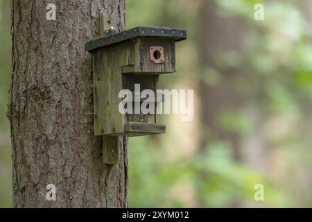 Alte selbstgebaute Vogelnistbox, die an einem Baum vor einem verschwommenen Hintergrund hängt Stockfoto