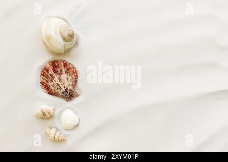 Reise- und Urlaubskonzept. Muscheln auf Sand und blauem Hintergrund. Reisen, Reise. Stockfoto