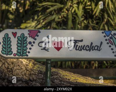 Handgemaltes Schild mit der Aufschrift „I love Funchal“ mit grüner und farbenfroher Dekoration, Pflanzen im Hintergrund, Funchal, madeira, portugal Stockfoto