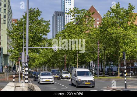 Städtische Begrünung, innerstädtische Straße Laan op Zuid, im Rotterdamer Stadtteil Feijenoord, 4 Fahrspuren, 2 Straßenbahnschienen, Radwege auf beiden Seiten, Gehsteige und p Stockfoto