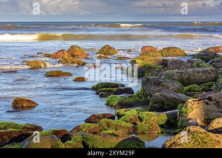 Bemoosten Steinen und Wellen zwischen den Gewässern des Cal Beach in Torres-Stadt, Rio Grande do Sul Stockfoto