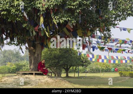 Lumbini, Nepal, 27. November 2014: Foto eines buddhistischen Mönchs, der unter einem Baum mit Gebetsfalken sitzt, Asien Stockfoto