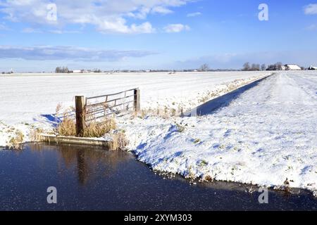 Typisch niederländisches Ackerland im Winter Stockfoto