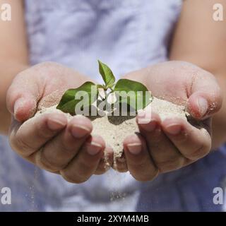 Kleines Mädchen, das junge Pflanzen in den Händen hält Stockfoto